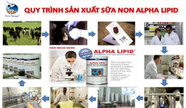 Quy trình sản xuất sữa non alpha lipid