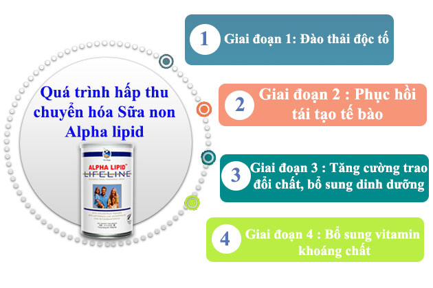 quá trình chuyển hóa sữa non alpha lipid