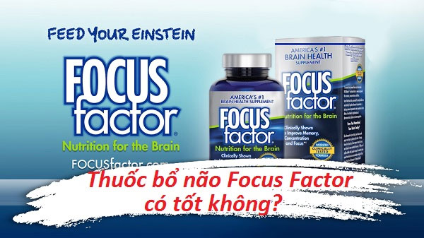 Focus factor có tốt không