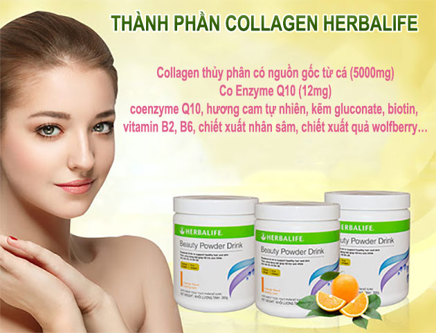Thành phần chính của collagen Herbalife