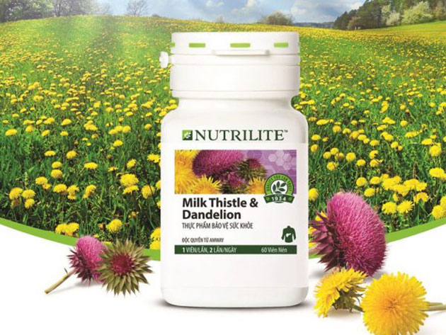 Nutrilite Milk Thistle &amp; Dandelion là gì