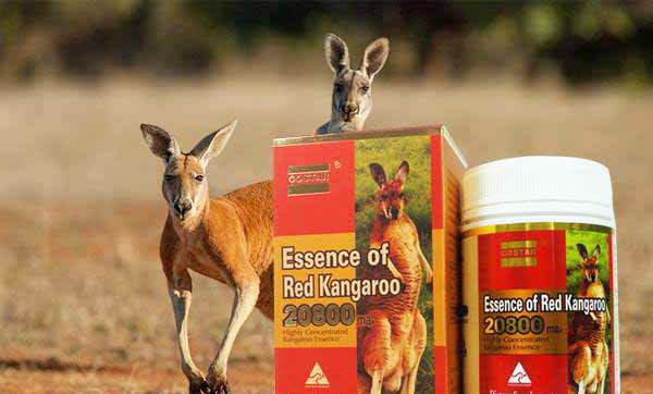 Giới thiệu Essence of Red Kangaroo