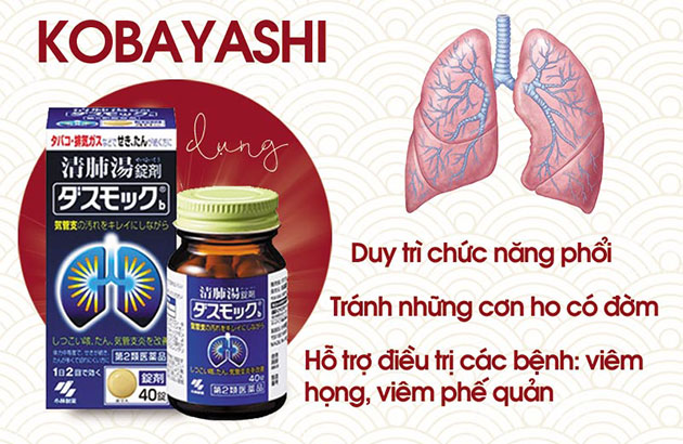 Lợi ích của Bổ phổi Kobayashi