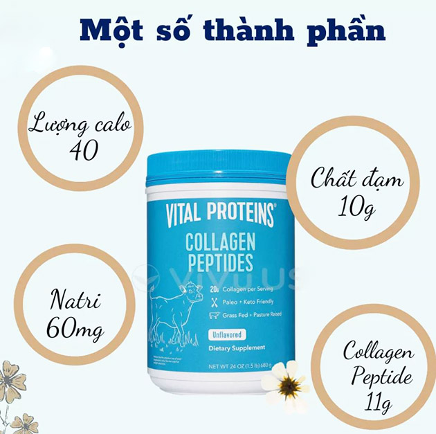 Thành phần sản phẩm Vital Proteins Collagen Peptides