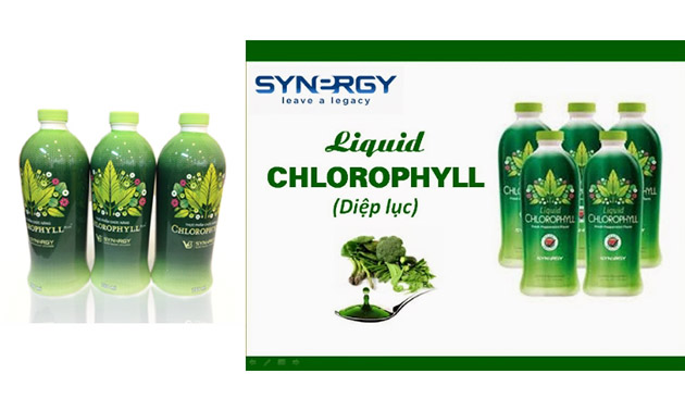 Diệp lục Synergy liquid chlorophyII là gì