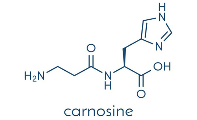 l-carnosine