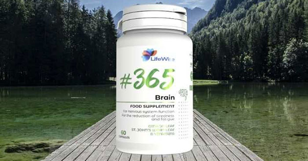 Lifewise 365 Brain giá bao nhiêu