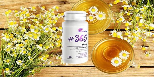 Lifewise 365 Sleep có tốt không