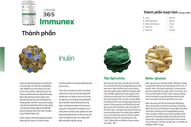 Thành phần của Lifewise 365 Immunex