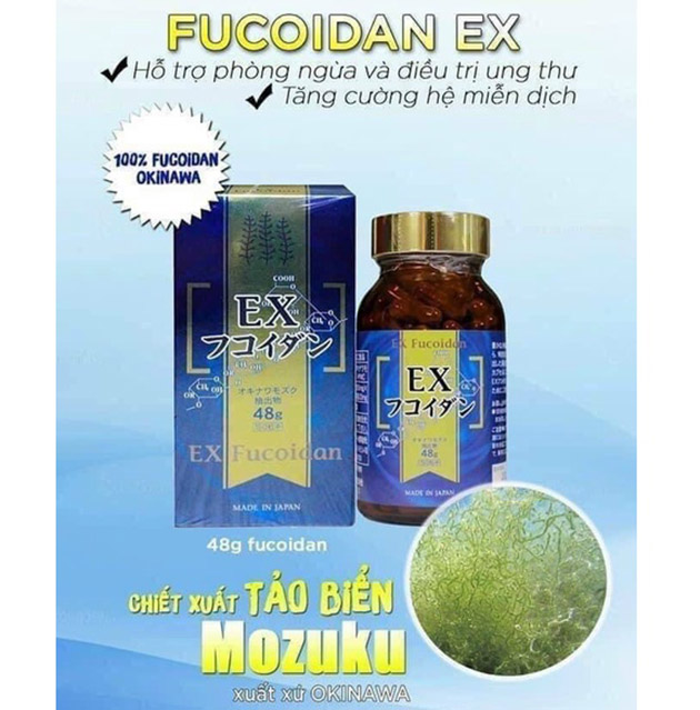 Tác dụng của viên uống tảo nâu EX Fucoidan Nhật Bản