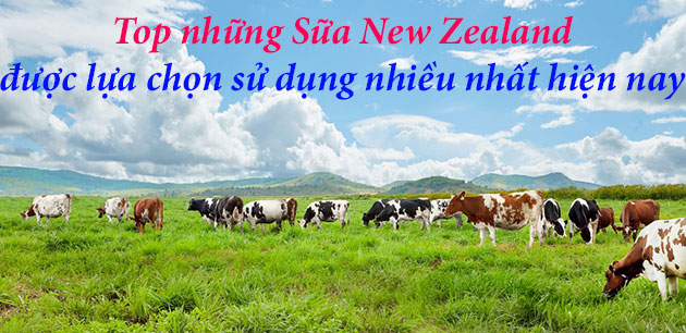 Top những Sữa New Zealand được lựa chọn sử dụng nhiều nhất hiện nay