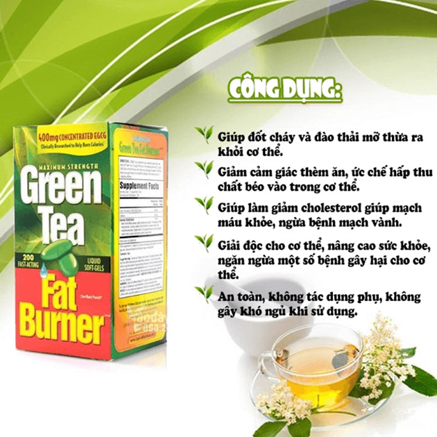 Công dụng của thực phẩm chức năng Green Tea Fat Burner