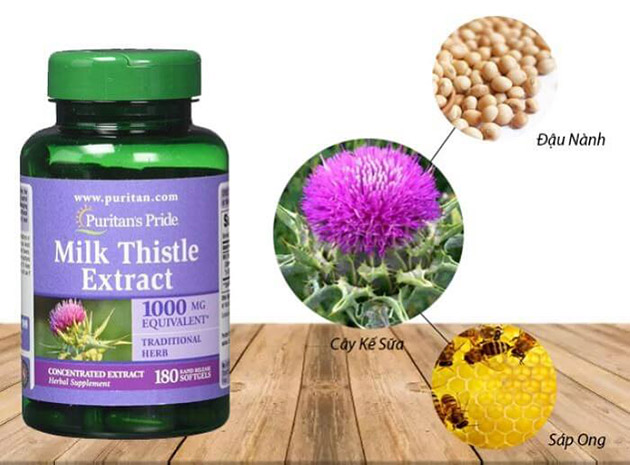 Milk Thistle Extract giúp thải độc gan, tăng cường chức năng gan tốt nhất -  Thanhhuongshop.com