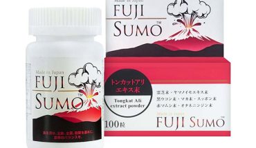 Fuji Sumo Nhật Bản