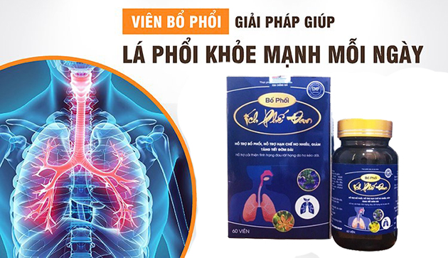 Lợi ích khi dùng Ích Phế Đan