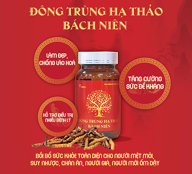 Đông Trùng Hạ Thảo Bách Niên là gì