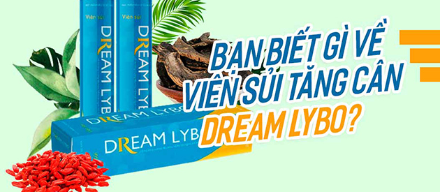 Dream Lybo lừa đảo