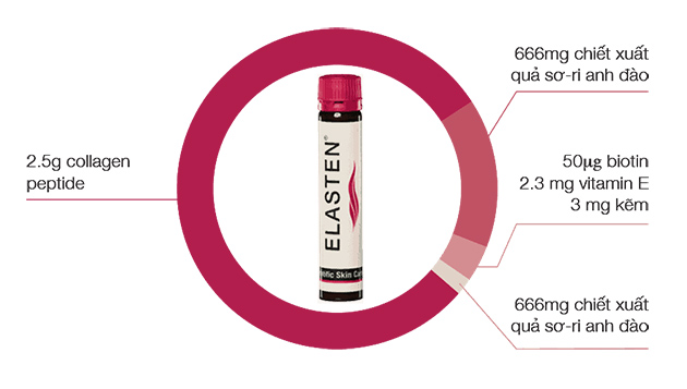 Thành phần của Elasten Collagen