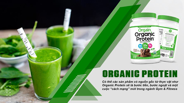 Orgain Organic Protein là gì