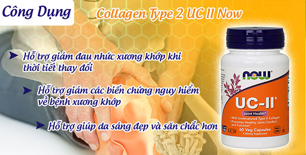 Công dụng của viên uống Now UC-II