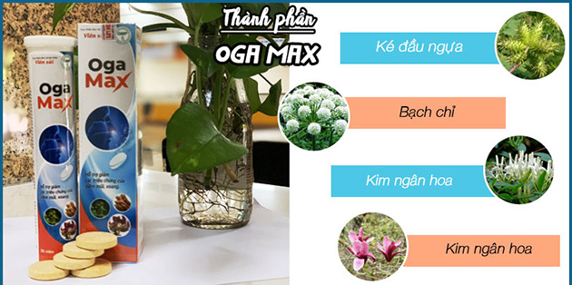 Thành phần của Oga Max