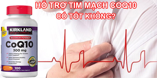 CoQ10 300mg Kirkland có tốt không