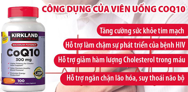 Công dụng của viên uống CoQ10 Kirkland