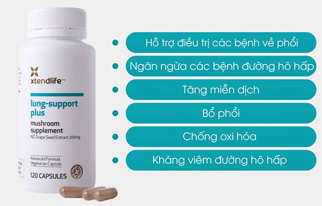 Công dụng của Lung Support Plus