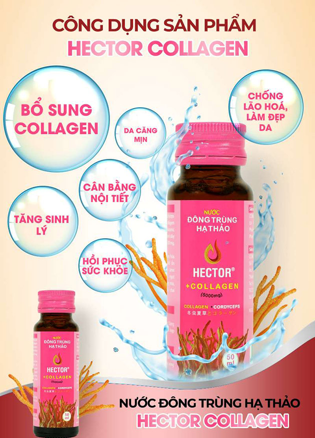 Công dụng của nước Hector Collagen