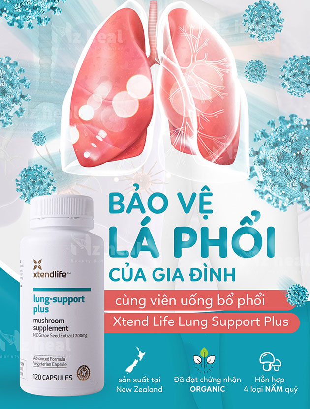 Lung Support Plus có tốt không