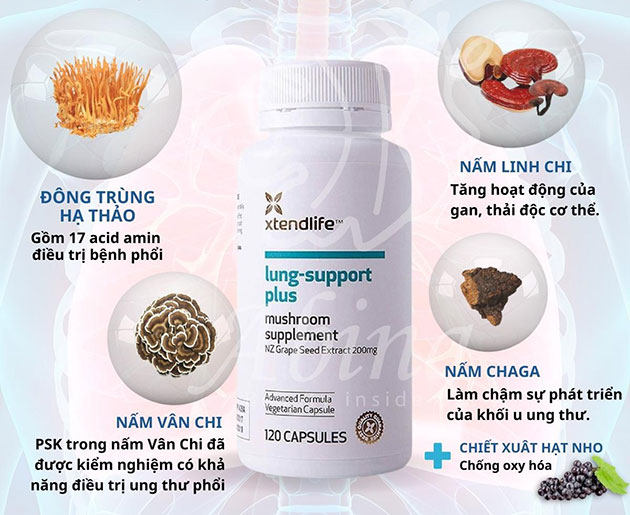 Thành phần của Lung Support Plus