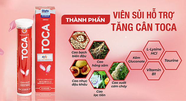 Thành phần của Tăng cân Toca