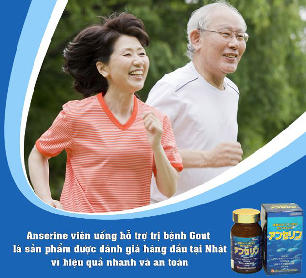 Anserine Minami Nhật Bản có tốt không