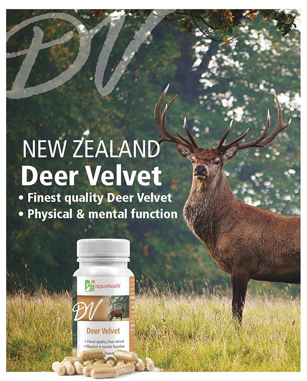 Nhung Hươu Deer Velvet là gì