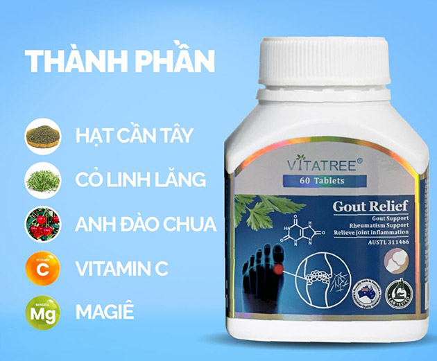 Thành phần có trong Gout Relief