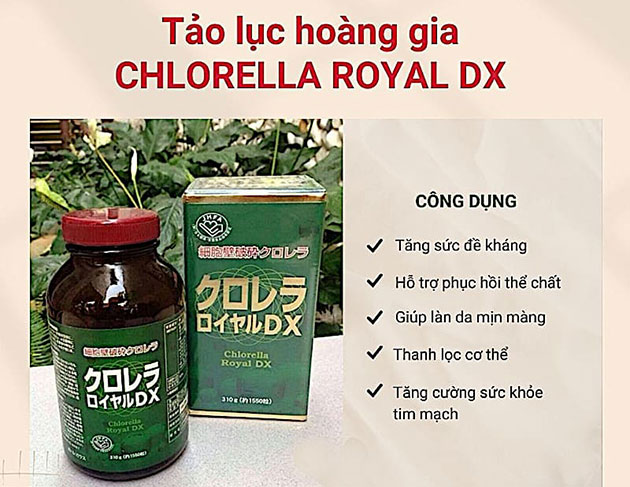 Công dụng của Tảo lục hoàng gia Nhật Bản