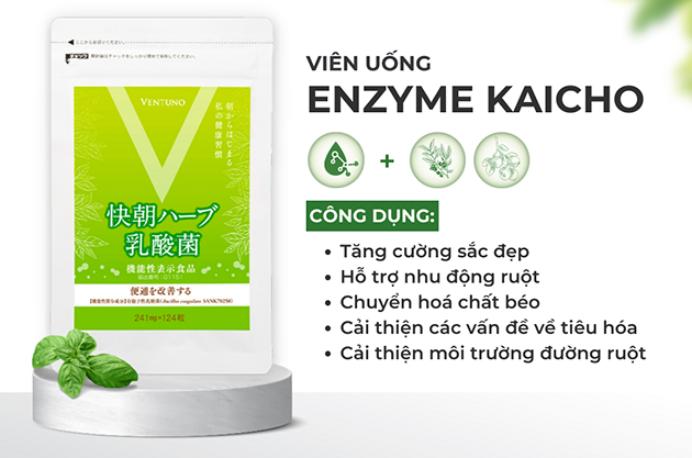 Công dụng của viên uống Enzyme Fucoidan Kaicho