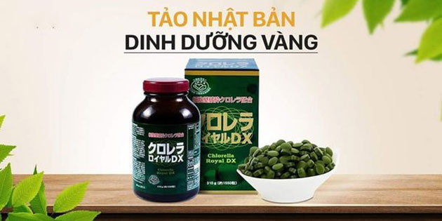 Tảo lục hoàng gia Nhật Bản Chlorella Royal Dx là gì