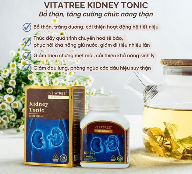 Công dụng của Kidney Tonic