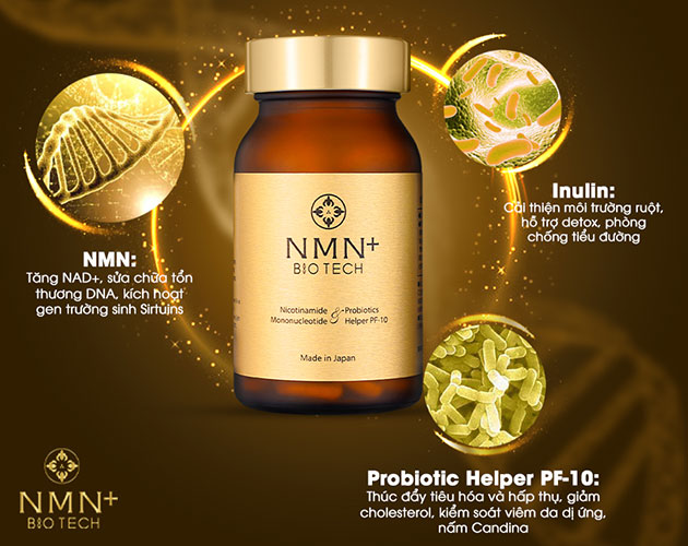 Thành phần của NMN+ Biotech