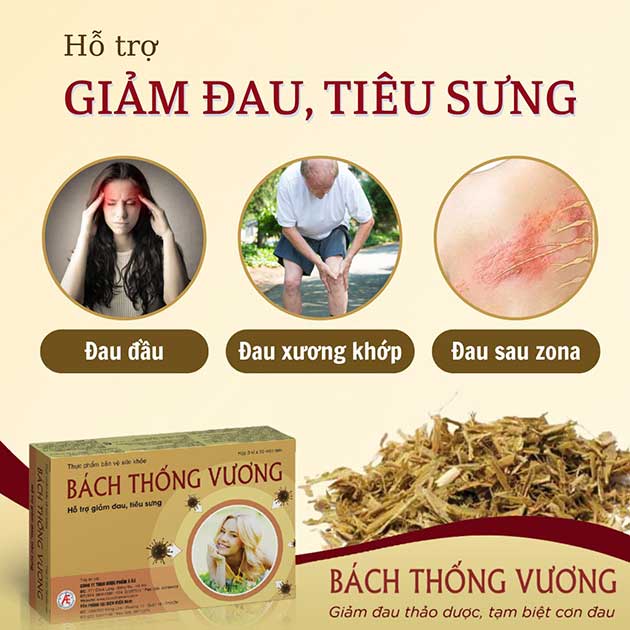 Bách Thống Vương có tốt không