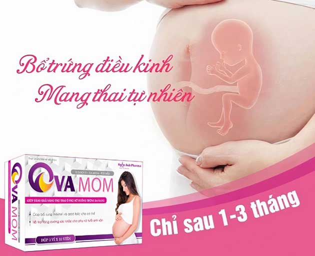 Ova Mom có tốt không