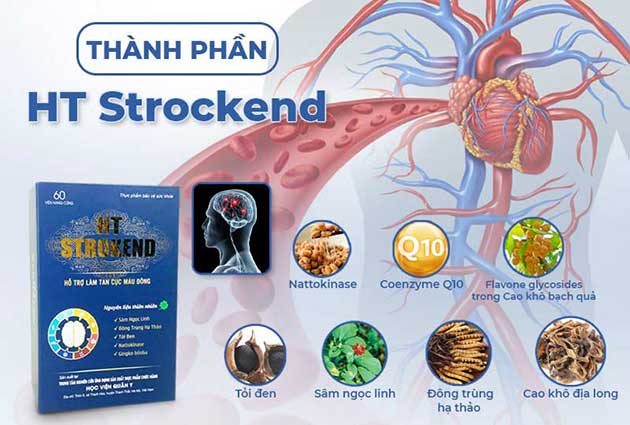 Thành phần có trong HT Strokend