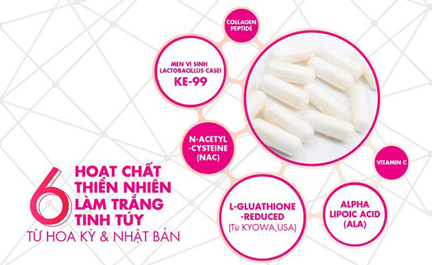 Thành phần của Probio White