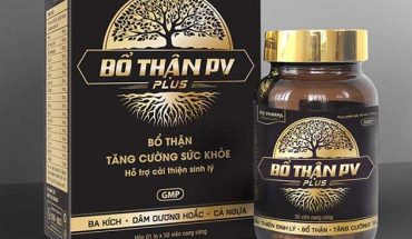 Bổ Thận PV Plus