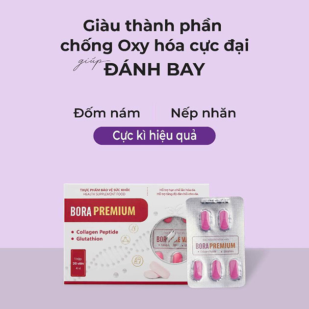 Bora Premium chính hãng có giá bao nhiêu