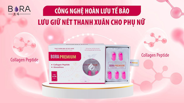 Bora Premium có tốt không