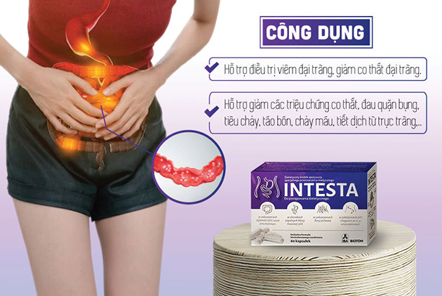 Công dụng chính của Intesta