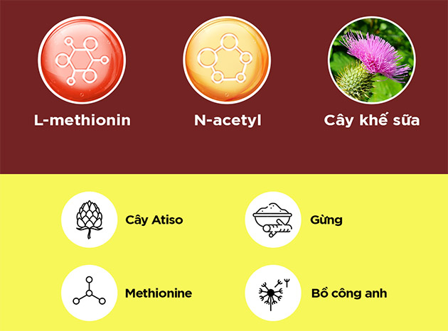 Thành phần của Mega Liver